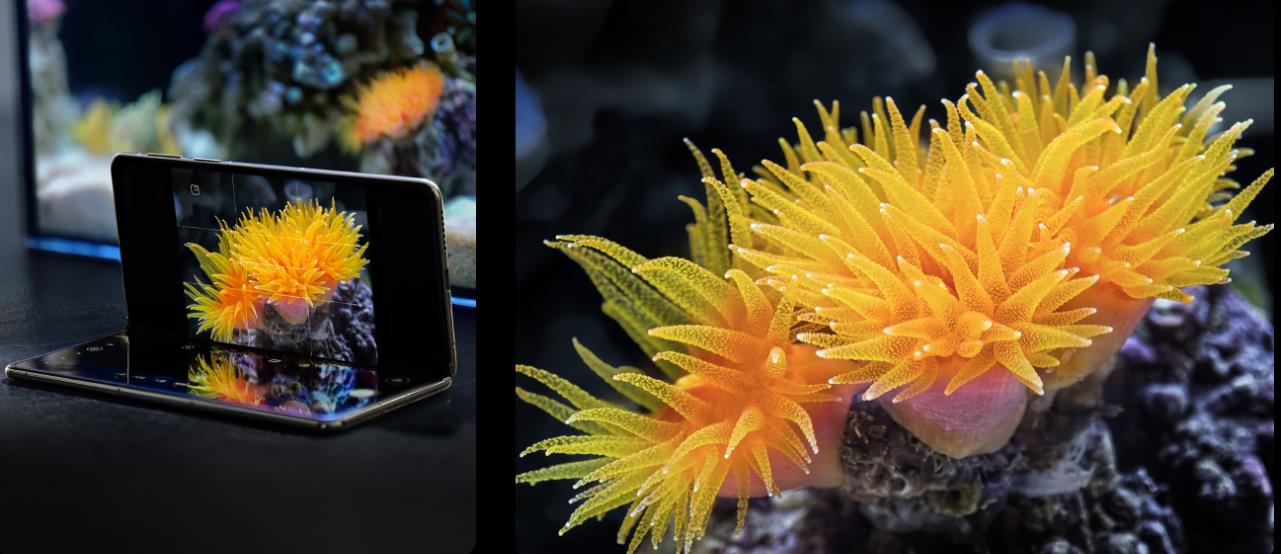 The Evolution of Huawei’s Folding Screen Phones Explained